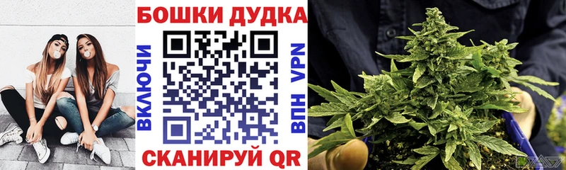 Виды наркотиков купить Артём ГАШИШ А ПВП МЕФ МАРИХУАНА Псилоцибиновые грибы Cocaine