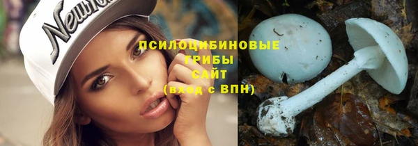 герыч Алексин