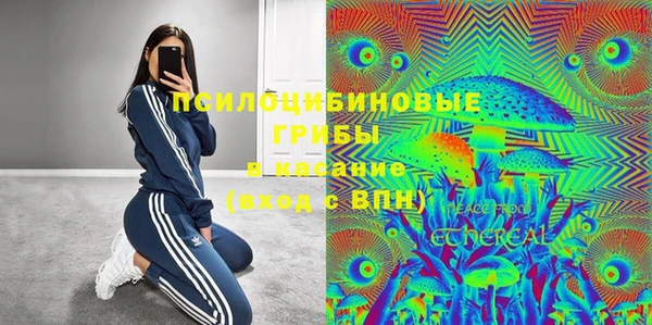 герыч Алексин